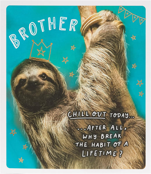 Funny Sloth Brother Birthday Card