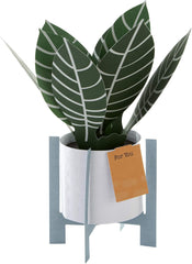 Hallmark Pop Up Card - Contemporary Zebra Plant Design