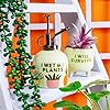 I Wet My Plants Mister